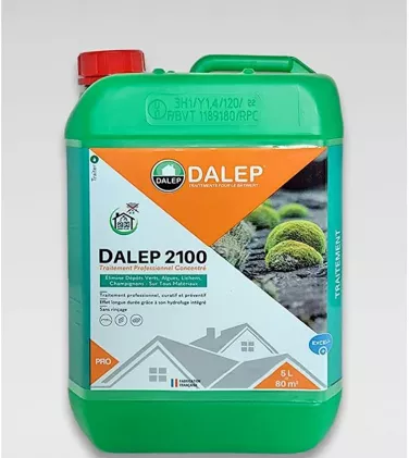 Dalep 2100